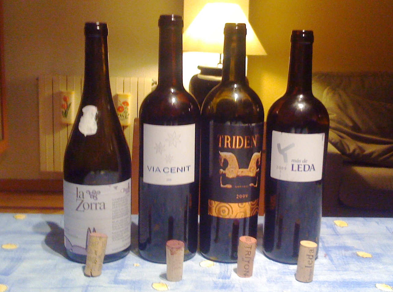 Entorno_al_Vino_Castilla_León